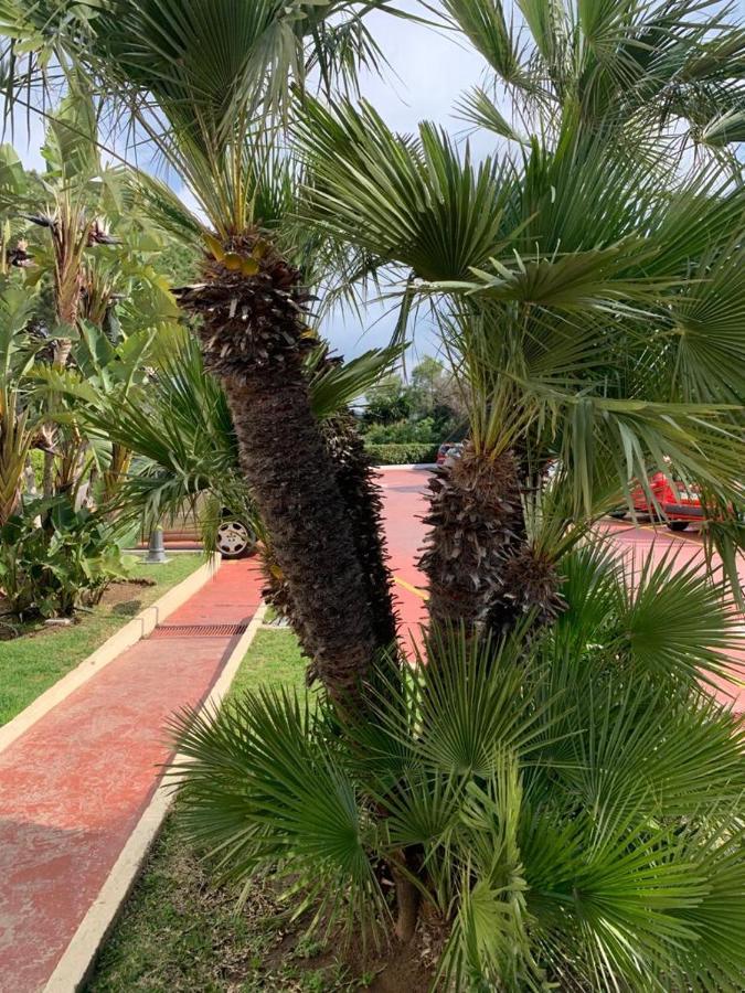 Vue Mer Exceptionnelle, El Rosario Marbella Dış mekan fotoğraf